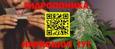 гашик Бугуруслан